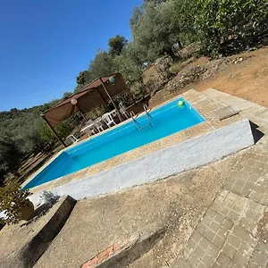 check availability